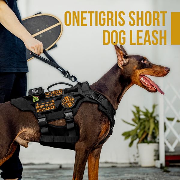 Reflective short leash for improved dog control; ONETIGRIS BOLT Dog Leash in use.