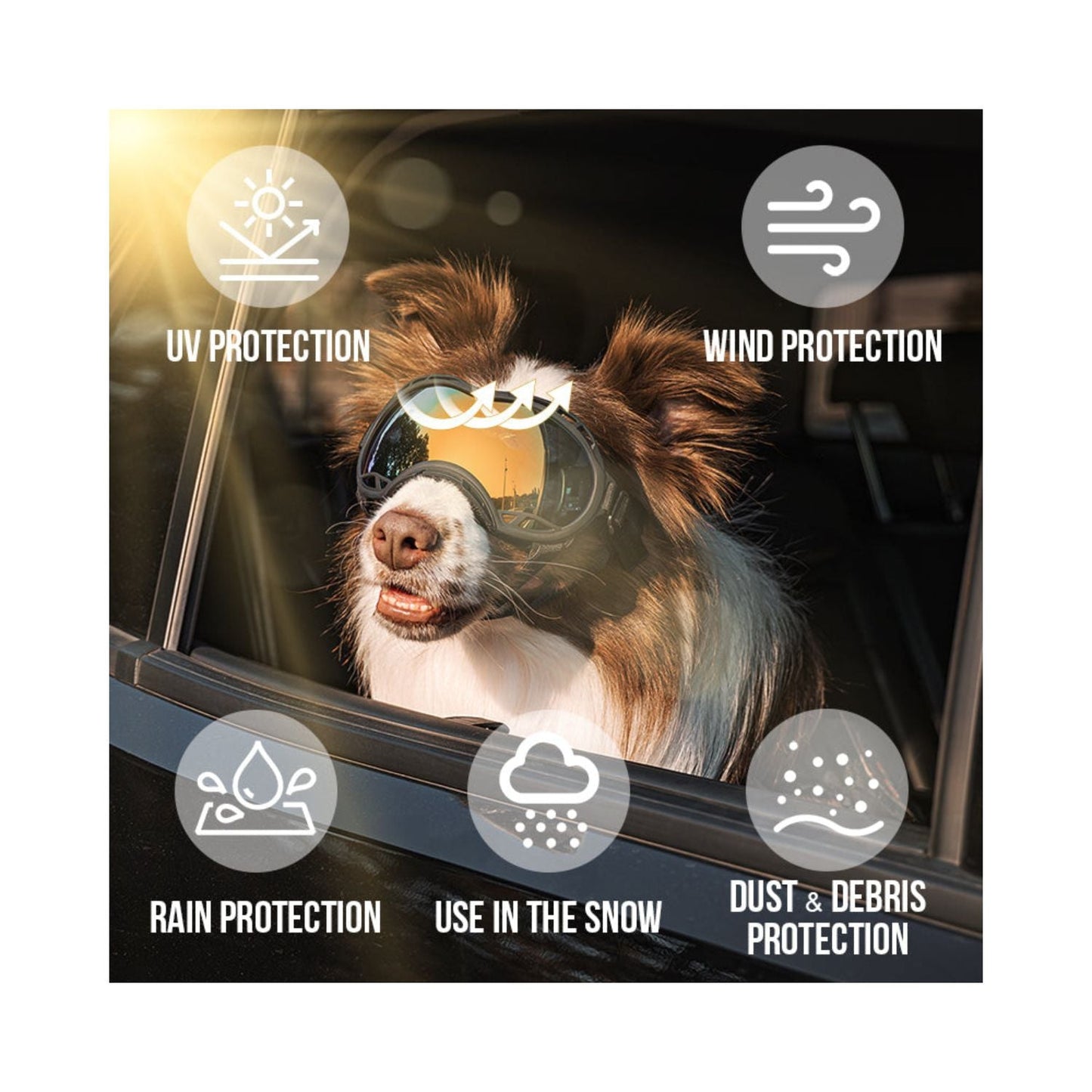 Dog in a car wearing ONETIGRIS dog goggles with icons for UV, wind, rain, snow, and dust protection.