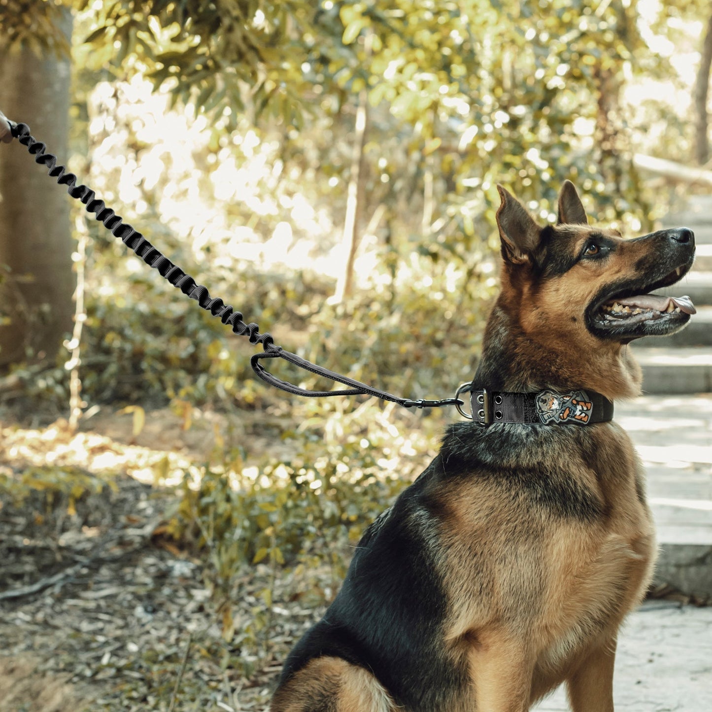 Tactical dog leash with bungee design for large dogs, durable nylon, in outdoor setting.