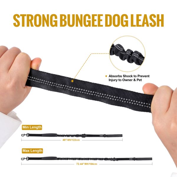 Strong bungee dog leash with shock absorption, dual handles, and reflective threading for medium to large dogs.