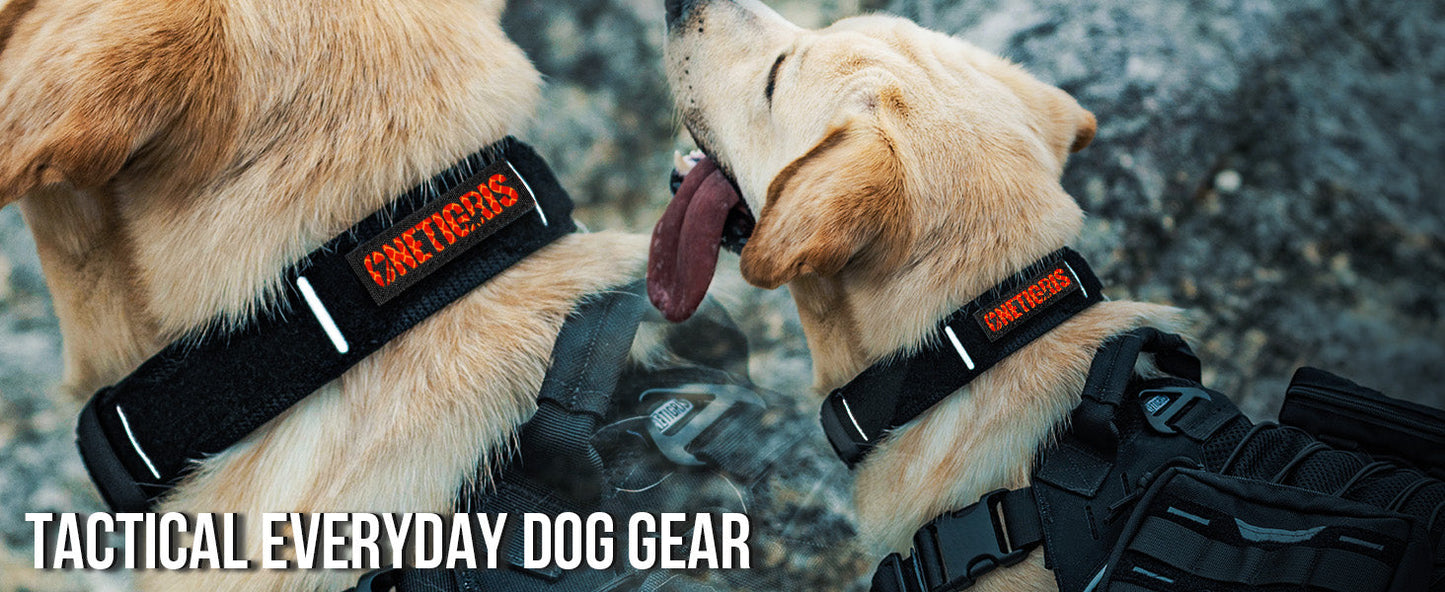 Two dogs wearing OneTigris X11 Dog Collars with reflective strips and logo patches; tactical everyday dog gear.