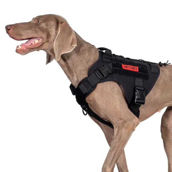 Tactical ONETIGRIS FIRE WATCHER dog harness 2.0 with metal buckles on dog.