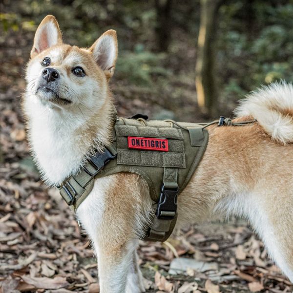 Dog wearing ONETIGRIS FIRE WATCHER 2.0 harness with metal buckles in a forest setting.