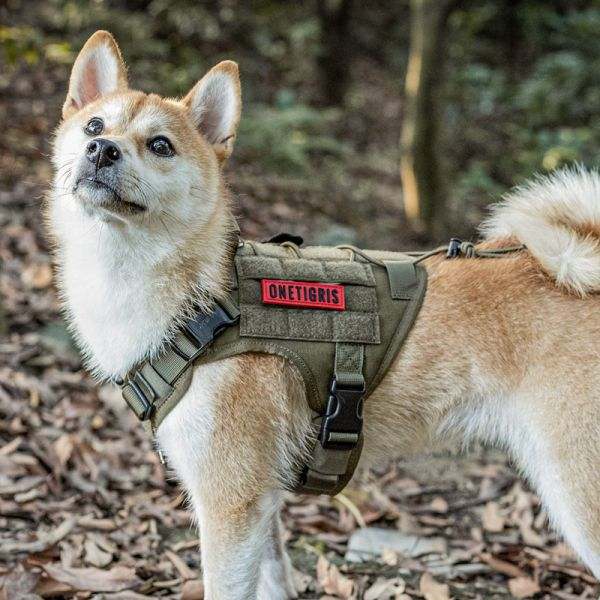 Dog wearing ONETIGRIS FIRE WATCHER 2.0 dog harness with metal buckles, ideal for tactical use and outdoor adventures.