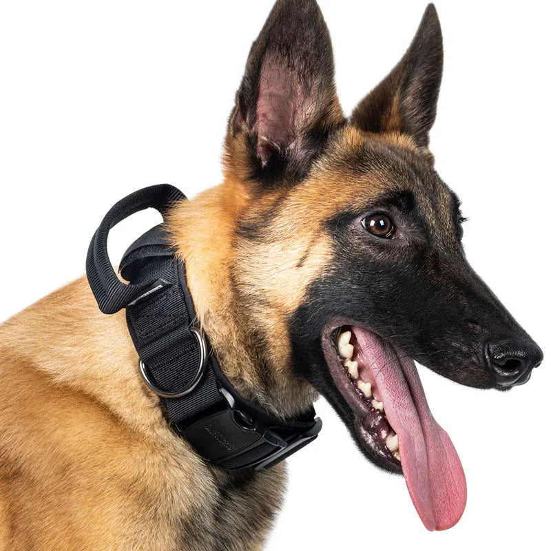 Tactical Dog Collar JustGoodKit Tactical Dog Collar Animals & Pet Supplies
