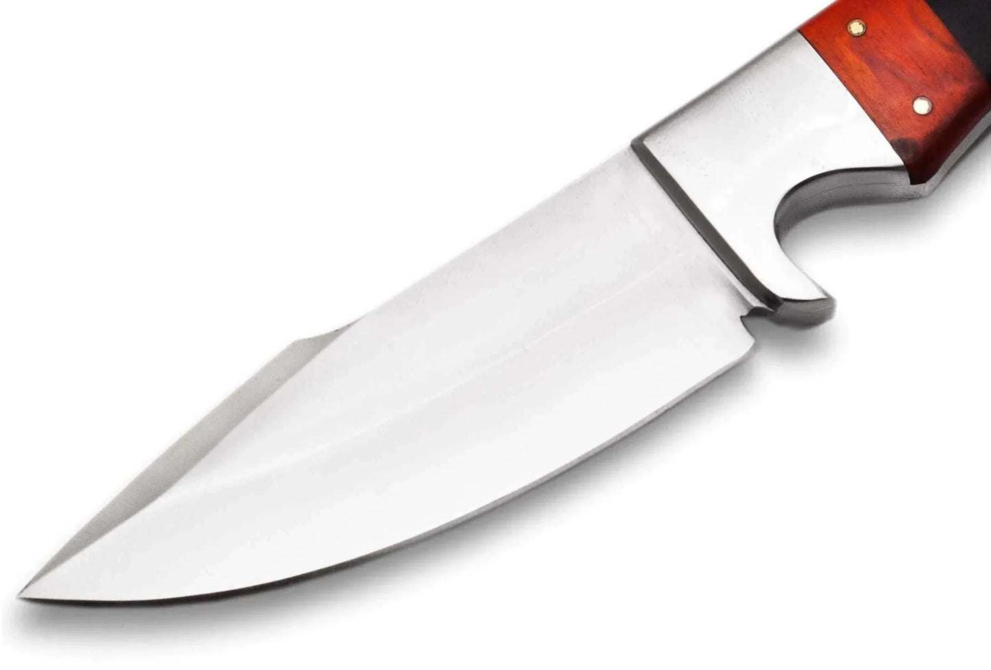 High Carbon Steel Hunting Knife with bull horn and pakka wood handle, featuring a full tang and a sharp carbon steel blade.