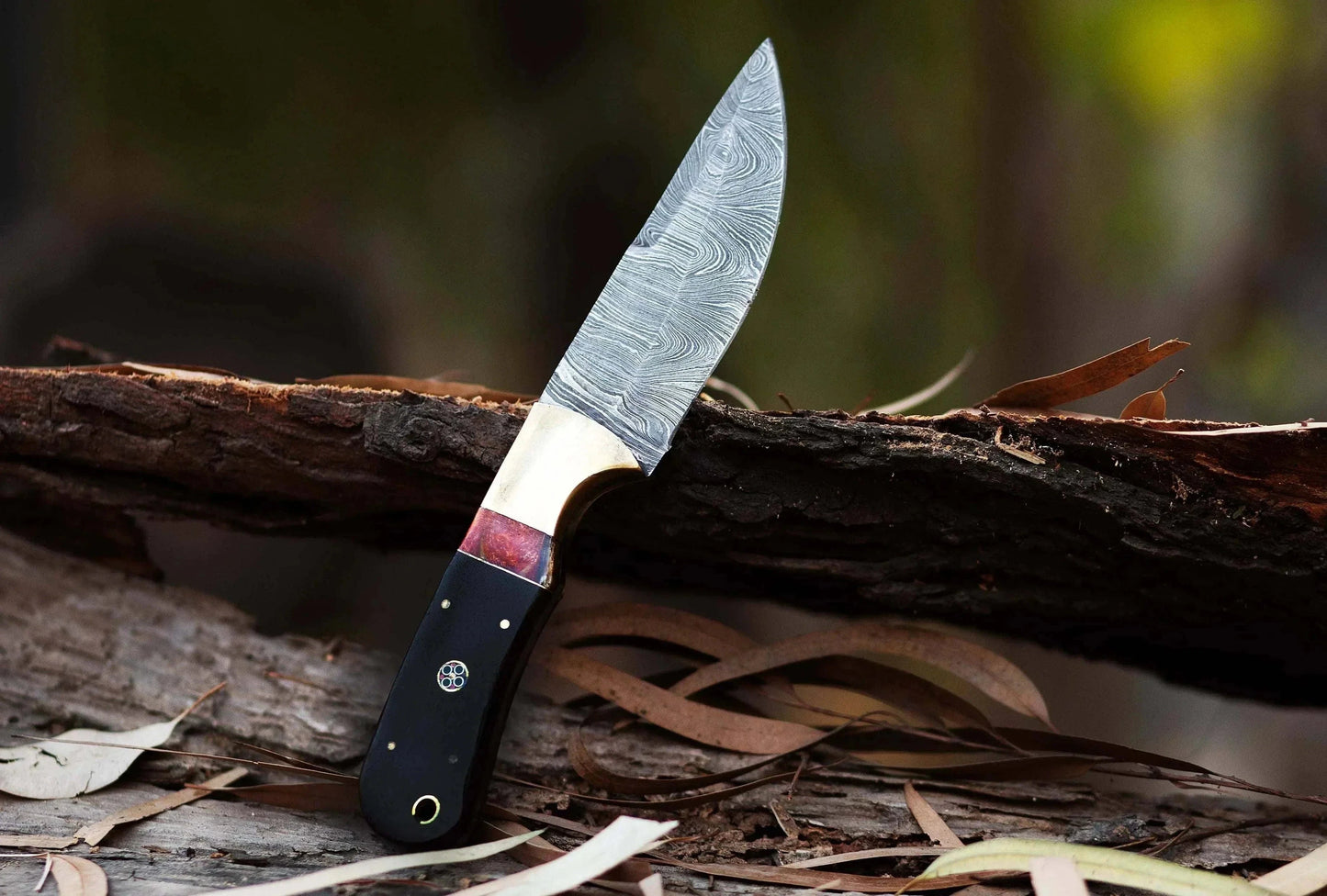 Damascus Steel Hunting Knife with hand-forged blade and Pakka Wood handle on log.