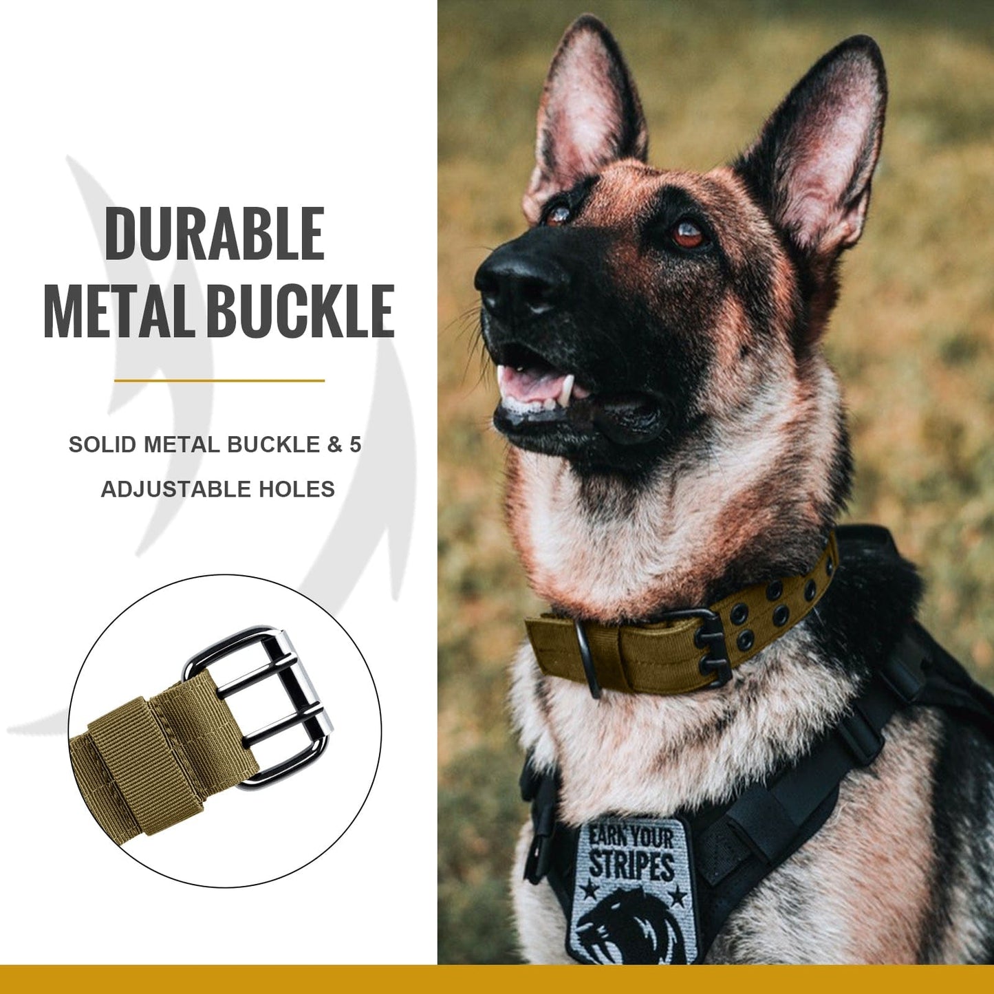 ONETIGRIS - Dog Collar 02