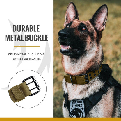 ONETIGRIS - Dog Collar 02