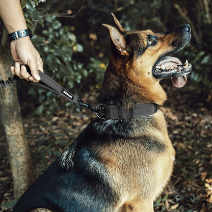 Tactical dog leash with bungee design for control and flexibility on German Shepherd.