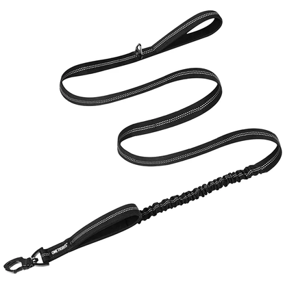 ONETIGRIS - Dog Leash 22