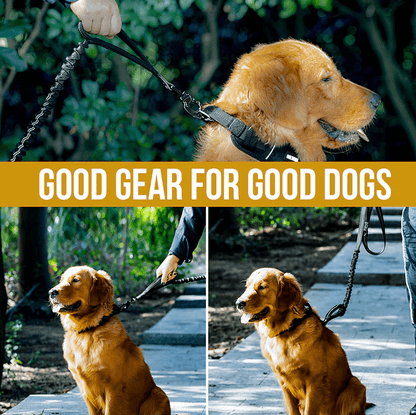 ONETIGRIS - Dog Leash 22