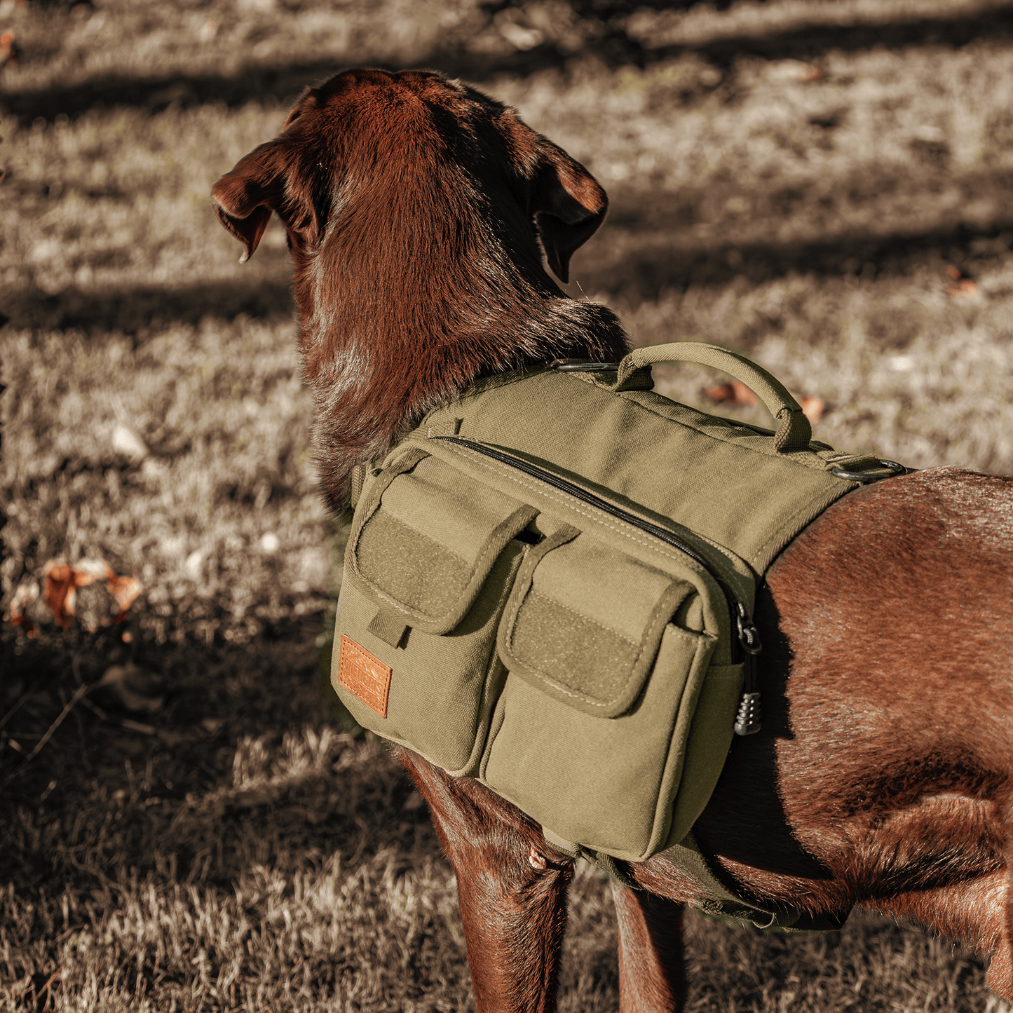 ONETIGRIS - HOPPY CAMPER Dog Pack 3.0