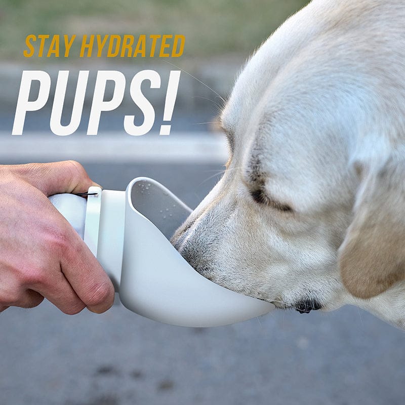 ONETIGRIS - Soft Dog Water Bottle