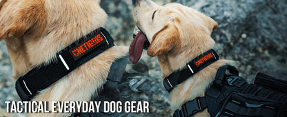 Dog with OneTigris X11 Dog Collar in black and orange, featuring tactical gear.