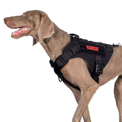 Tactical ONETIGRIS FIRE WATCHER Dog Harness on dog, featuring metal buckles and ergonomic design for outdoor adventures.