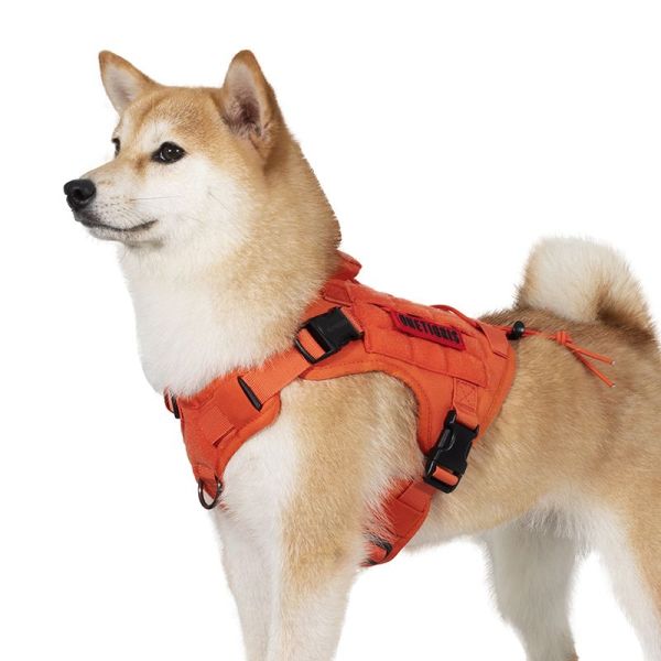 Orange ONETIGRIS FIRE WATCHER 2.0 dog harness with metal buckles on a dog, featuring ergonomic design and MOLLE compatibility.