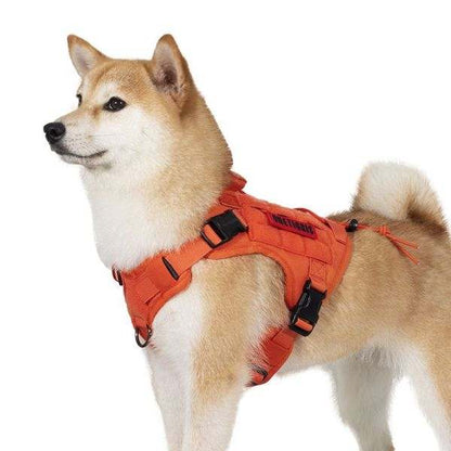 ONTIGRIS FIRE WATCHER 2.0 Dog Harness with metal buckles in orange, shown on a standing dog.