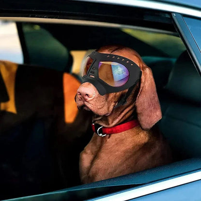 Tactical dog glasses on a dog in a car, providing UV protection and windproofing.
