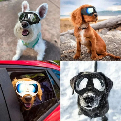 Tactical dog glasses on various dogs outdoors, providing UV protection and windproofing.